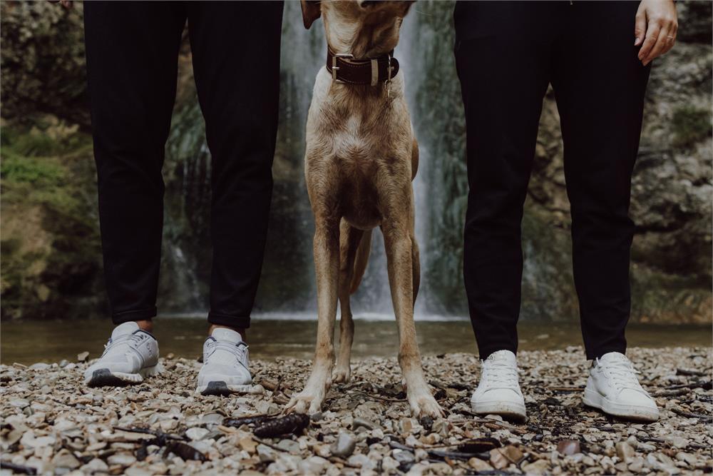 Caroline-Carlos-Wolfgang